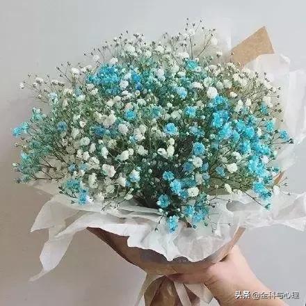 心灵鸡汤的正能量句子短句,心灵鸡汤短句经典正能量句子