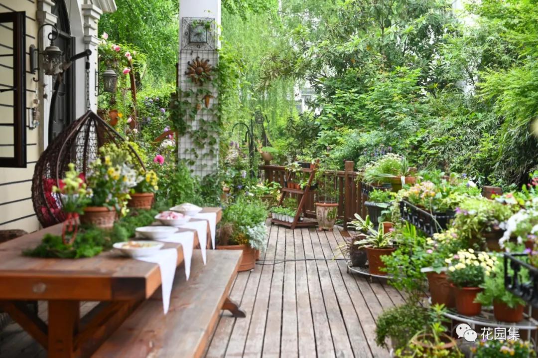 小花园最新改造,改造一个小花园真的太不容易了