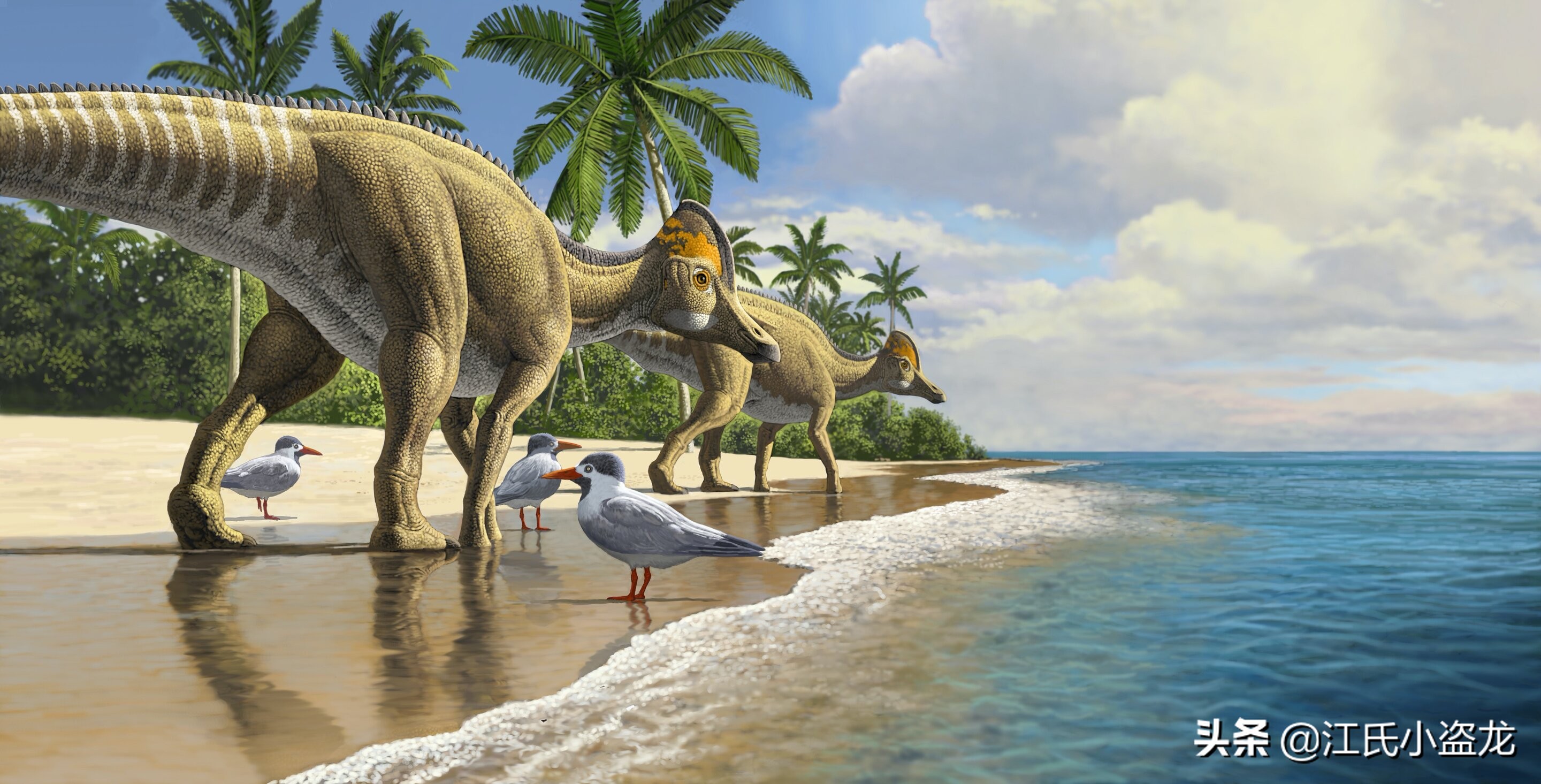 古生物时代有多少种恐龙,人类已经发现了多少恐龙种类