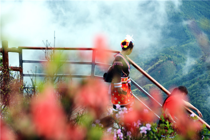 广东杜鹃花风景区最佳观赏期,清远金子山杜鹃几月份开