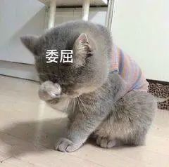 微信现在可以改微信号,微信再次改微信号的办法