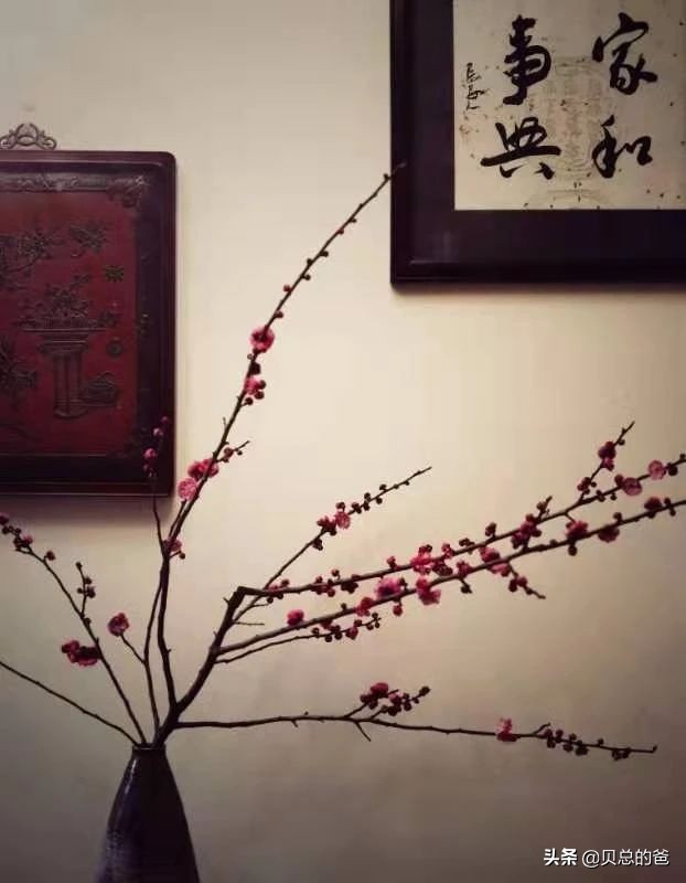 潮州凤凰茶凤凰是什么意思,潮州凤凰茶源头茶