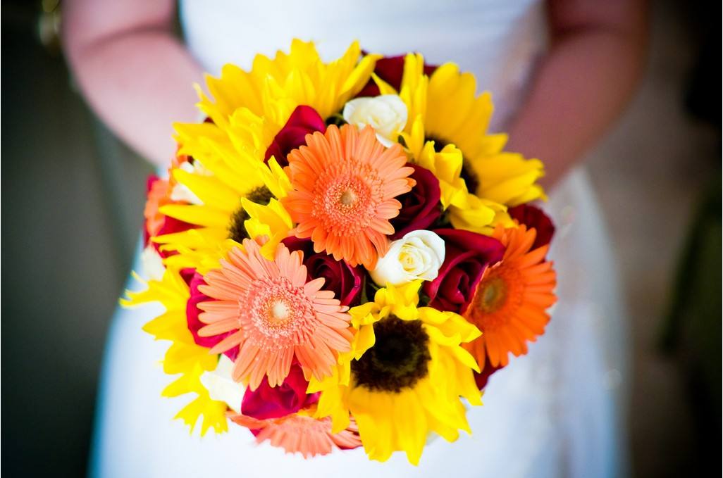 吸甲醛最好的植物花卉是哪几种,刚装修好的新房种什么植物去甲醛