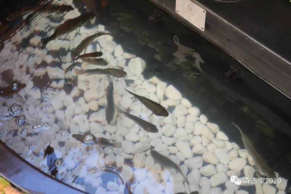 母亲节，敢和你妈这样玩吗？朋友圈豪嗮幸福