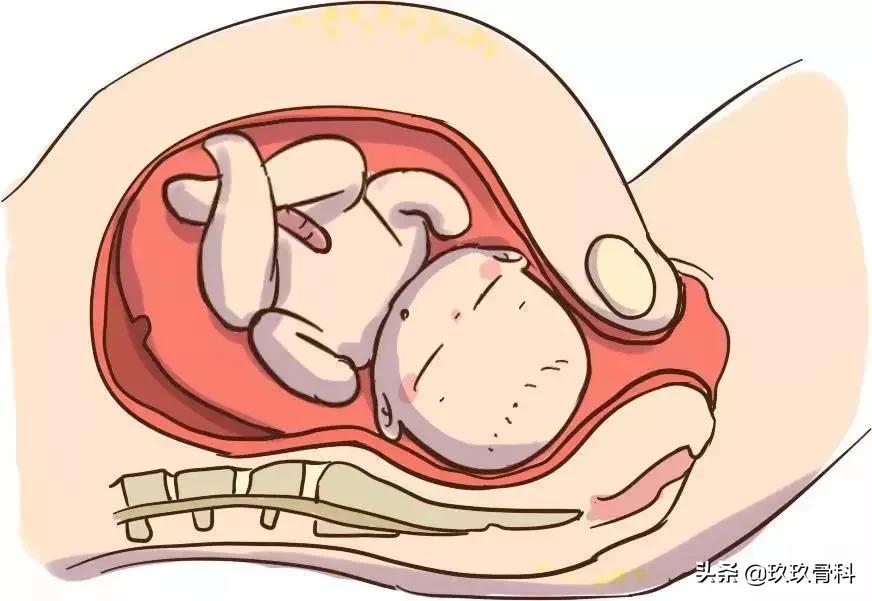 盆底肌有多重要这3点你应该知道,了解脏器功能