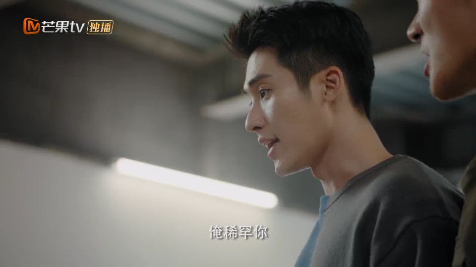 年底最新上线的5部剧你追了几部,2022年新出的剧哪部比较值得追