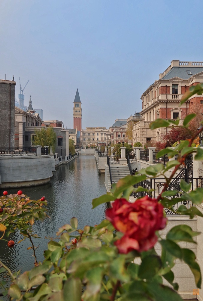 不能飞去巴黎伦敦，不如到大连喂鸽子，赏海景吃海鲜