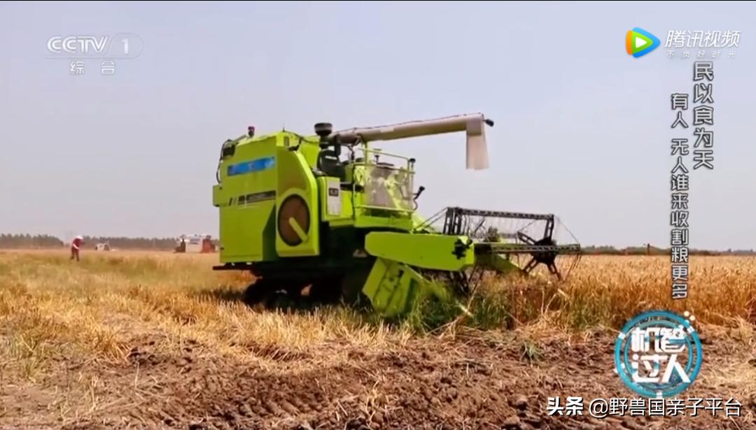 适合孩子看的人工智能纪录片,儿童讲人工智能