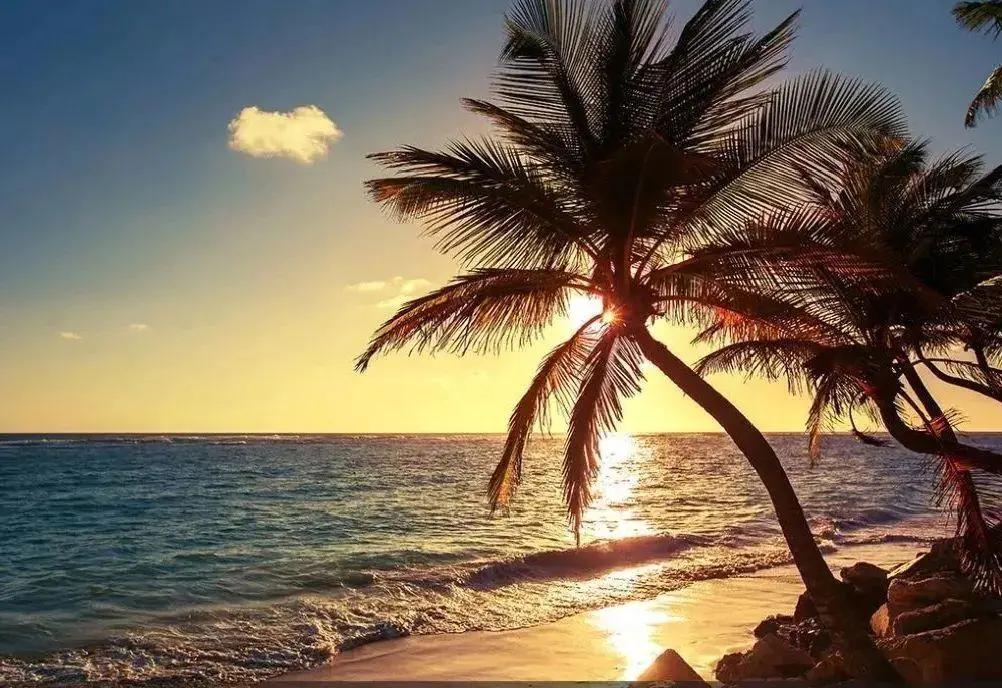 中喜酒业：带上一瓶葡萄酒去旅行，让快乐加倍