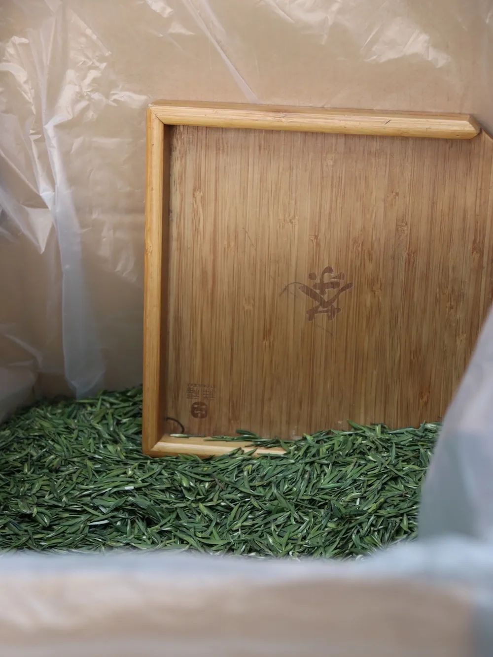 早上6点，去蒙顶山买茶是一种什么体验？