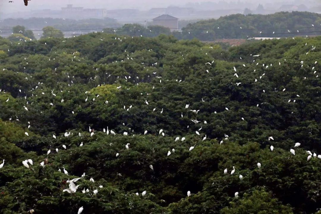 杭州旅游玻璃栈道漂流,杭州山清水秀大峡谷