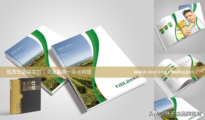 设计企业宣传画册,济南企业画册设计