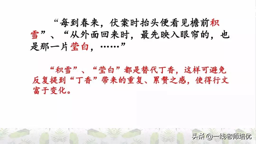 六年级上册第二课丁香结知识点,部编版六年级上册语文丁香结预习