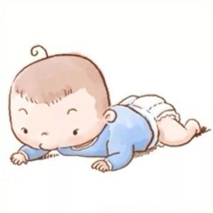 小鸭宝宝生长全过程,五只鸭子宝宝