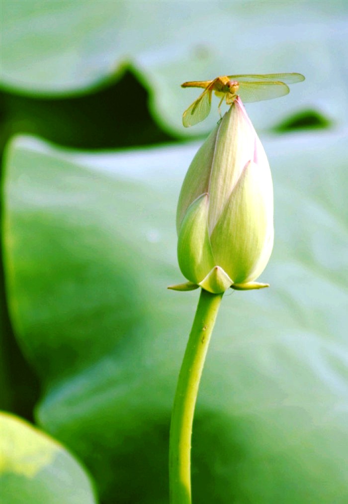 励志人生感悟正能量句子经典,正能量励志豪情经典语录