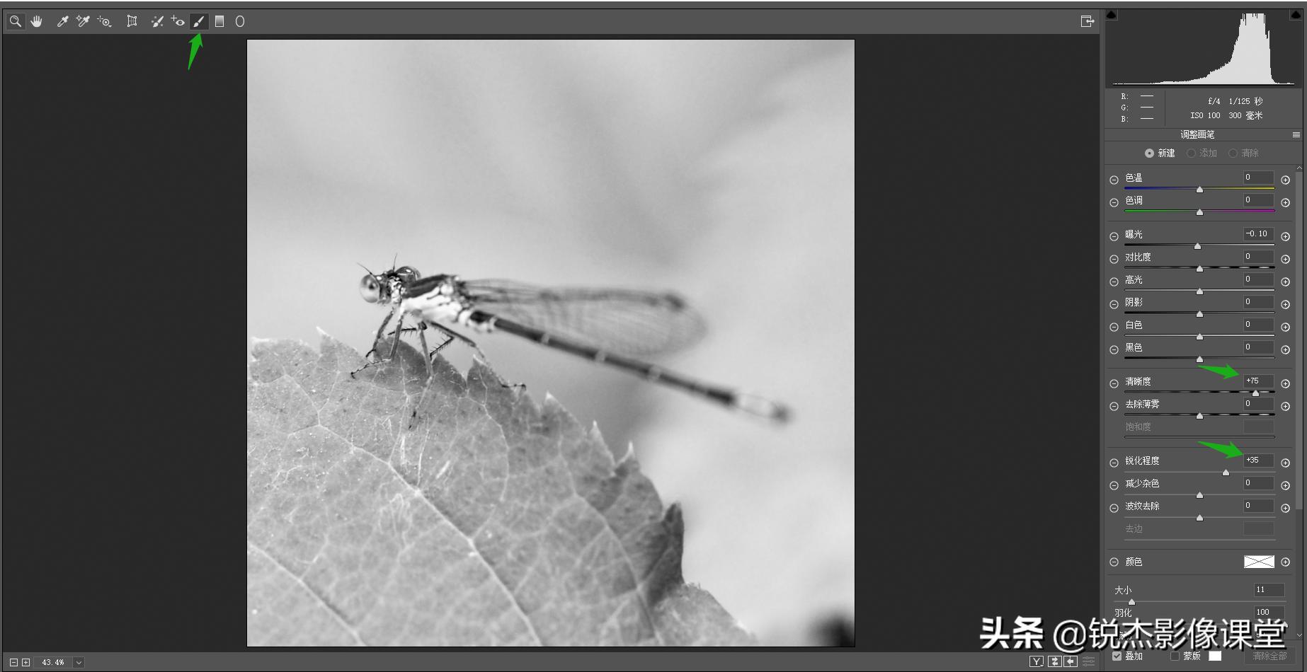 ps怎样调出高质量的黑白照片风景,ps如何给黑白照片上的人物上色