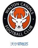 英格兰队徽壁纸,英格兰队徽图片蓝锁