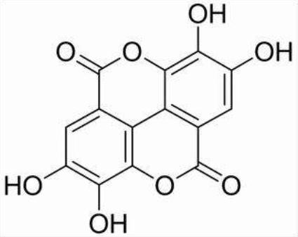 关于美白化妆品的原料,美白化妆品中常见激素