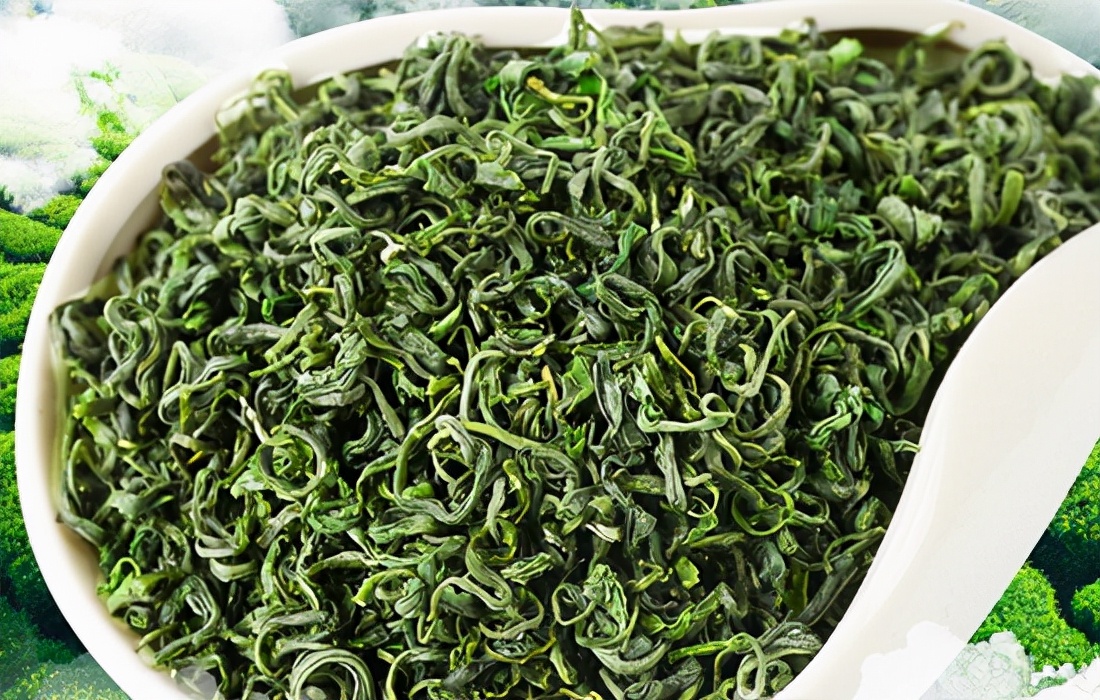 中国十大名茶都匀毛尖,中国十大名茶知多少