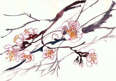 收藏100首名篇100个词牌由来,300常见词牌典故及对应千古名篇