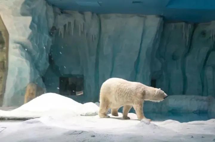 来一场说走就走的旅行珠海长隆,广东长隆及珠海长隆旅游攻略