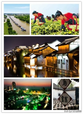 桐乡市民间文化艺术之乡,桐乡文化基地