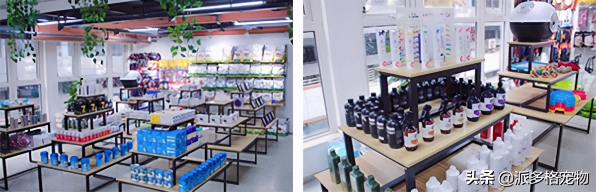 派多格宠物城,派多格宠物市场