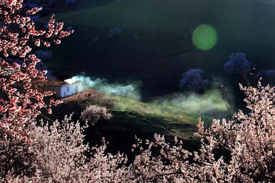 春分送你最美的祝福,春分是春暖花开的季节
