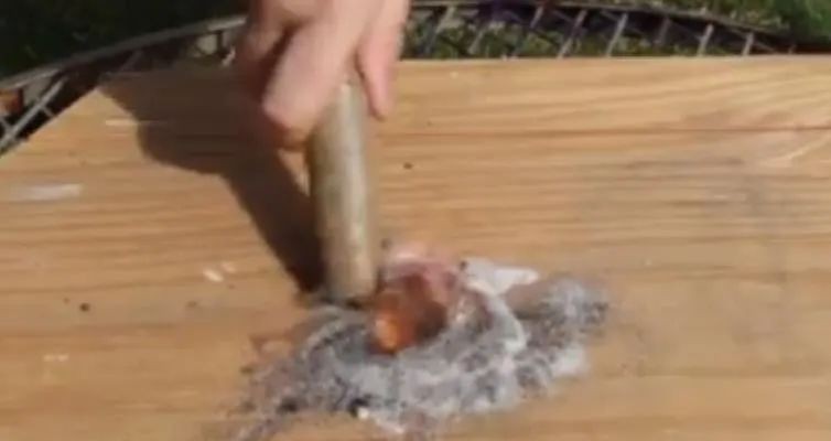 生存小技巧钻木取火,荒野生存取水技巧