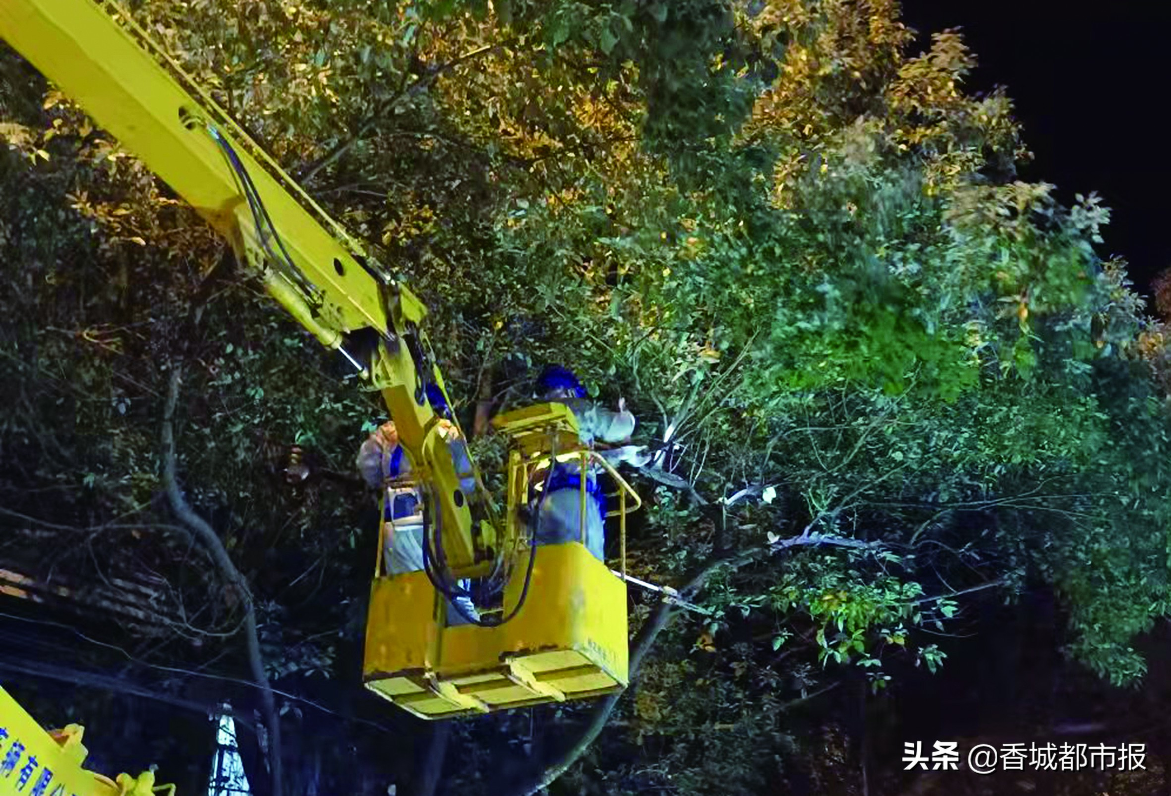 小路灯照亮大生活,小路灯照亮乡村幸福路