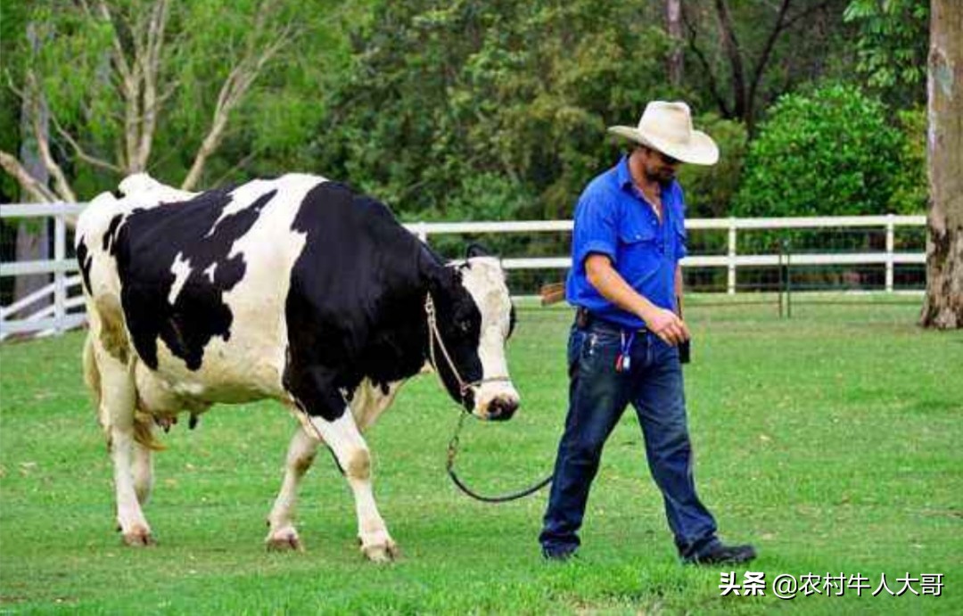 ,第三章牛场管理标准化之疾病防控