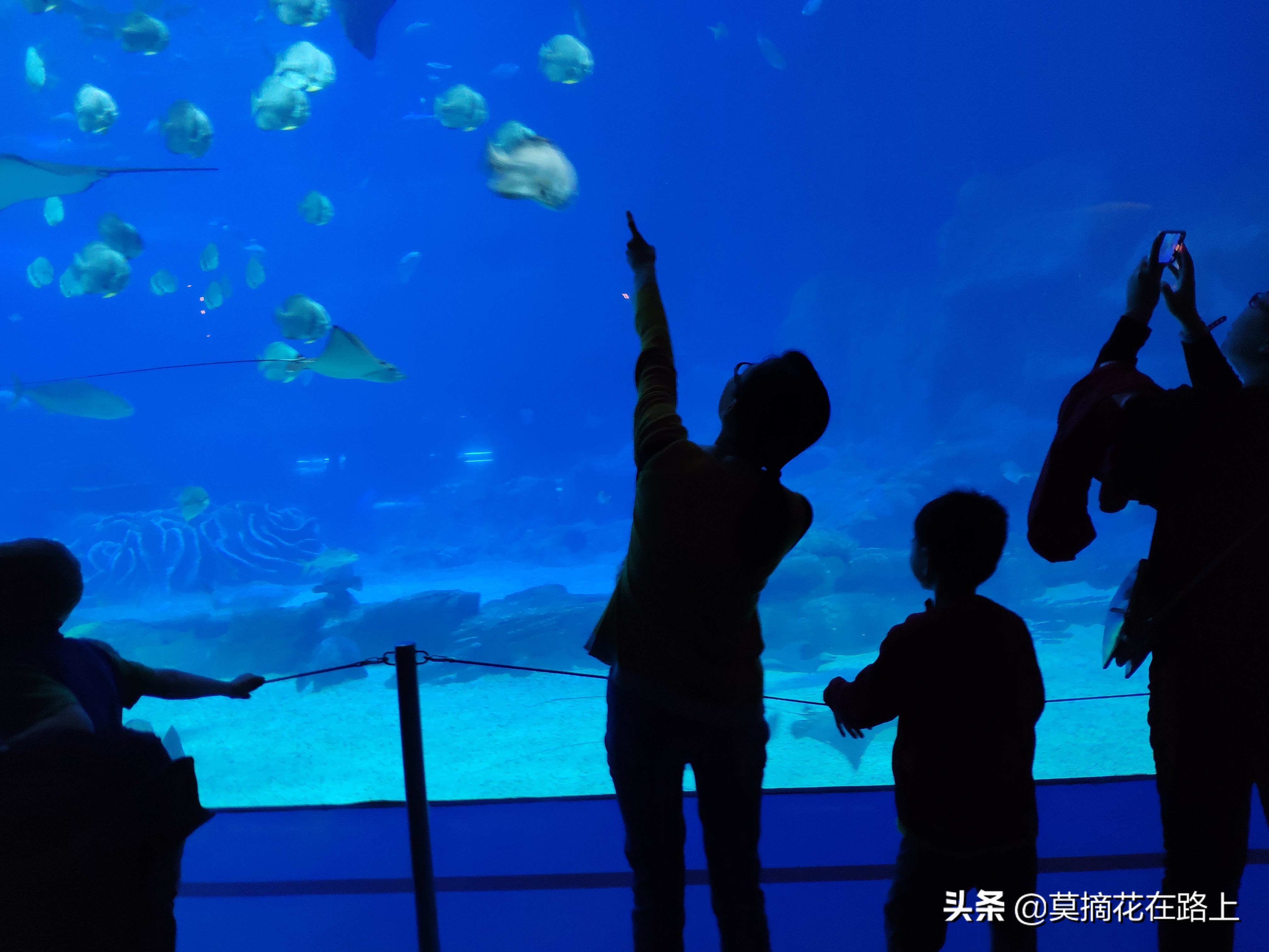 推荐去珠海长隆旅游的原因,一场说走就走的旅行珠海长隆