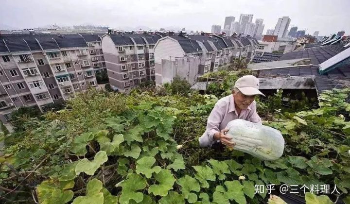 灞变笢鐨勮敩鑿滅粰鍝噷渚涚粰,灞变笢鐨勮敩鑿滈兘渚涘摢閲屼簡