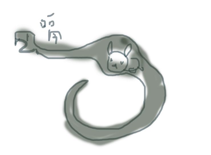 节食饮食不规律危害,蟒蛇是怎样消化食物