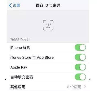 苹果xr突然显示无法激活面容id,iphone无法激活面容id是怎么回事