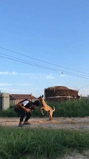 只能亮度调亮才能看得懂的梗,调高亮度才能看懂的梗