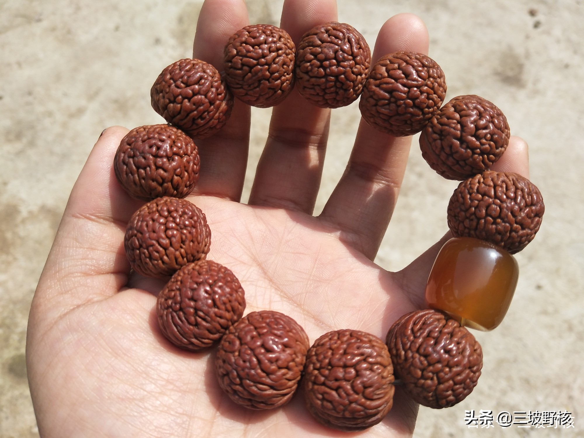 蚂蚁纹西瓜纹火焰纹,桃核蚂蚁纹和荔枝纹的区别