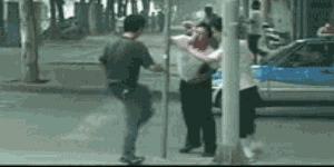 宠物猫植入芯片有什么要注意的,猫咪植入芯片注意事项