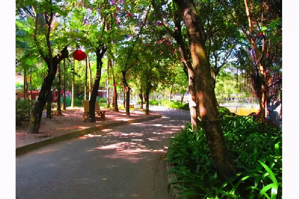 南有嘉鱼烝然汕汕的意思,汕头冷门旅游景点推荐