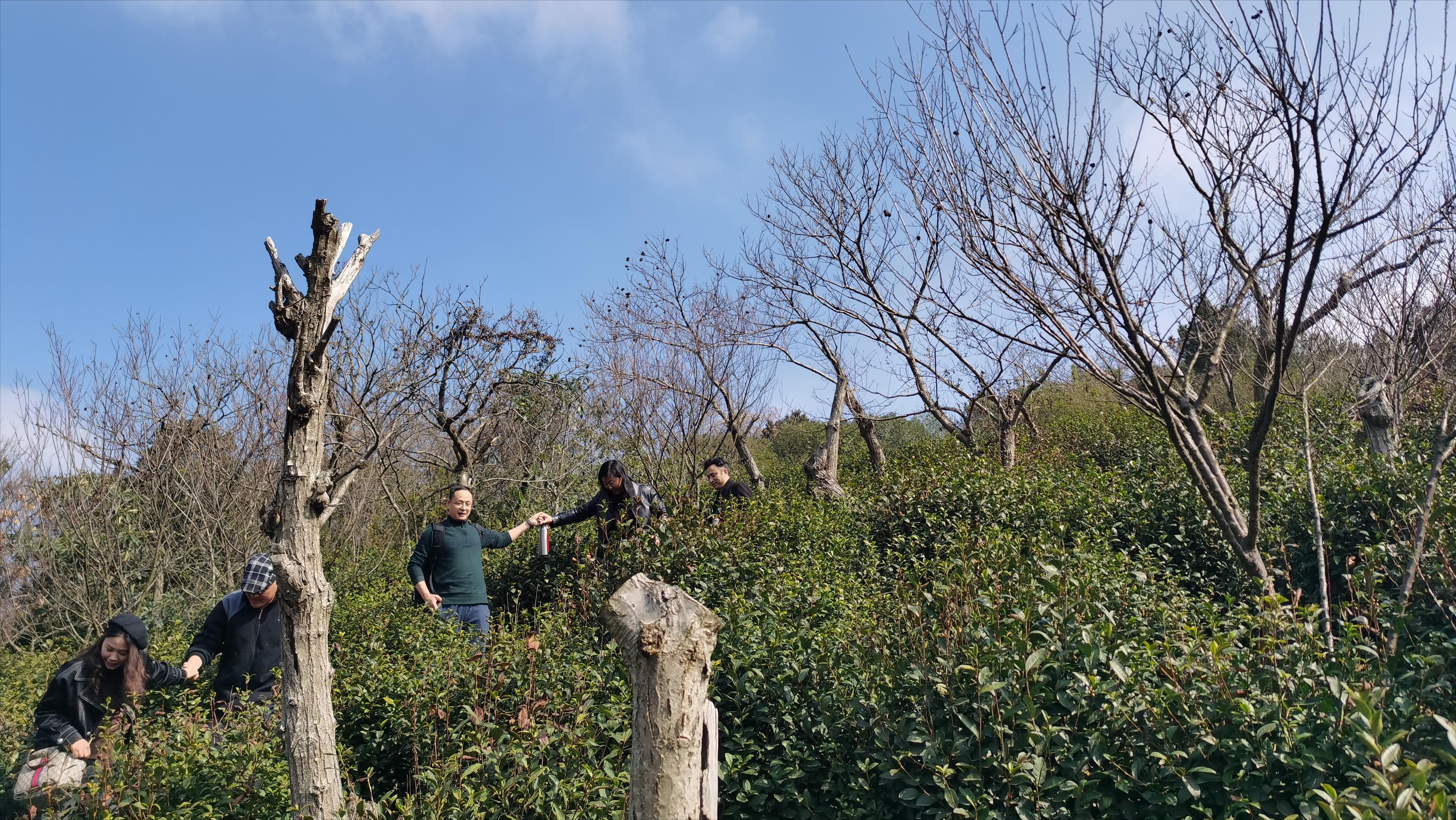 下雨天游苏州西山,旅游在苏州西山