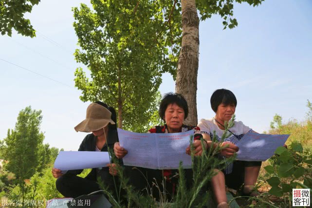 大山深处小麦开割，庄稼地里有人送来承诺书，现场签字