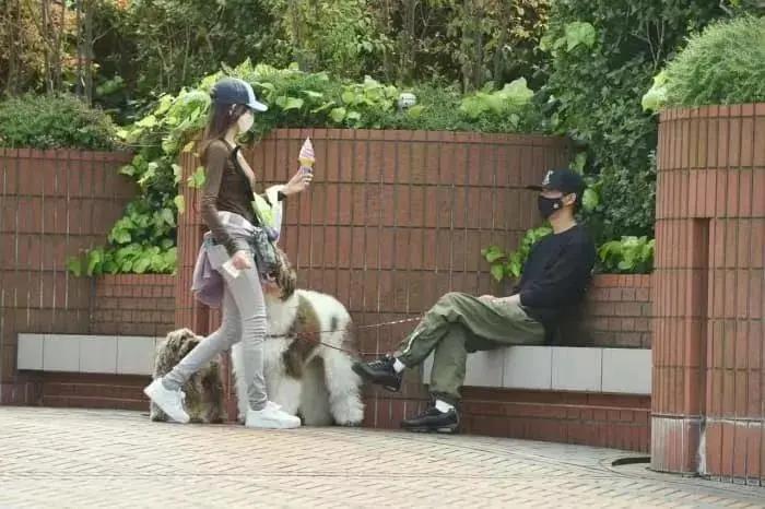 让人羡慕到哭的日本明星夫妇,日本最令人羡慕的一对明星夫妻