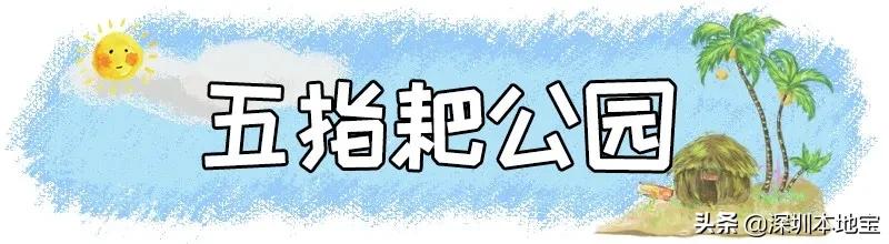 深圳免费的景点有哪些地方,深圳有哪些免费又好玩的地方景点