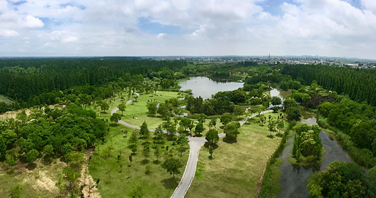 长三角城市群最佳旅游线路,长三角示范区旅游详细攻略