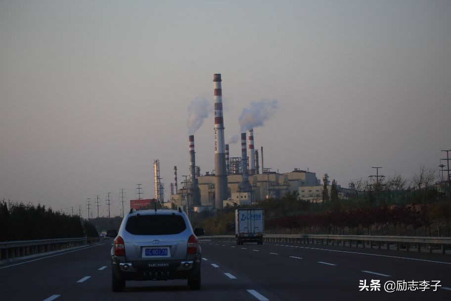 宁夏候鸟,候鸟监测简报