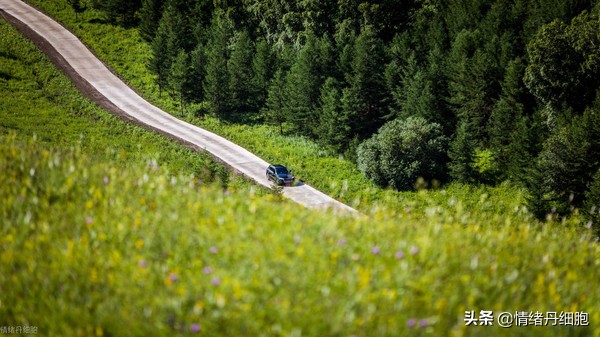 门头沟避暑景点推荐,柳树沟自然风景区旅游攻略