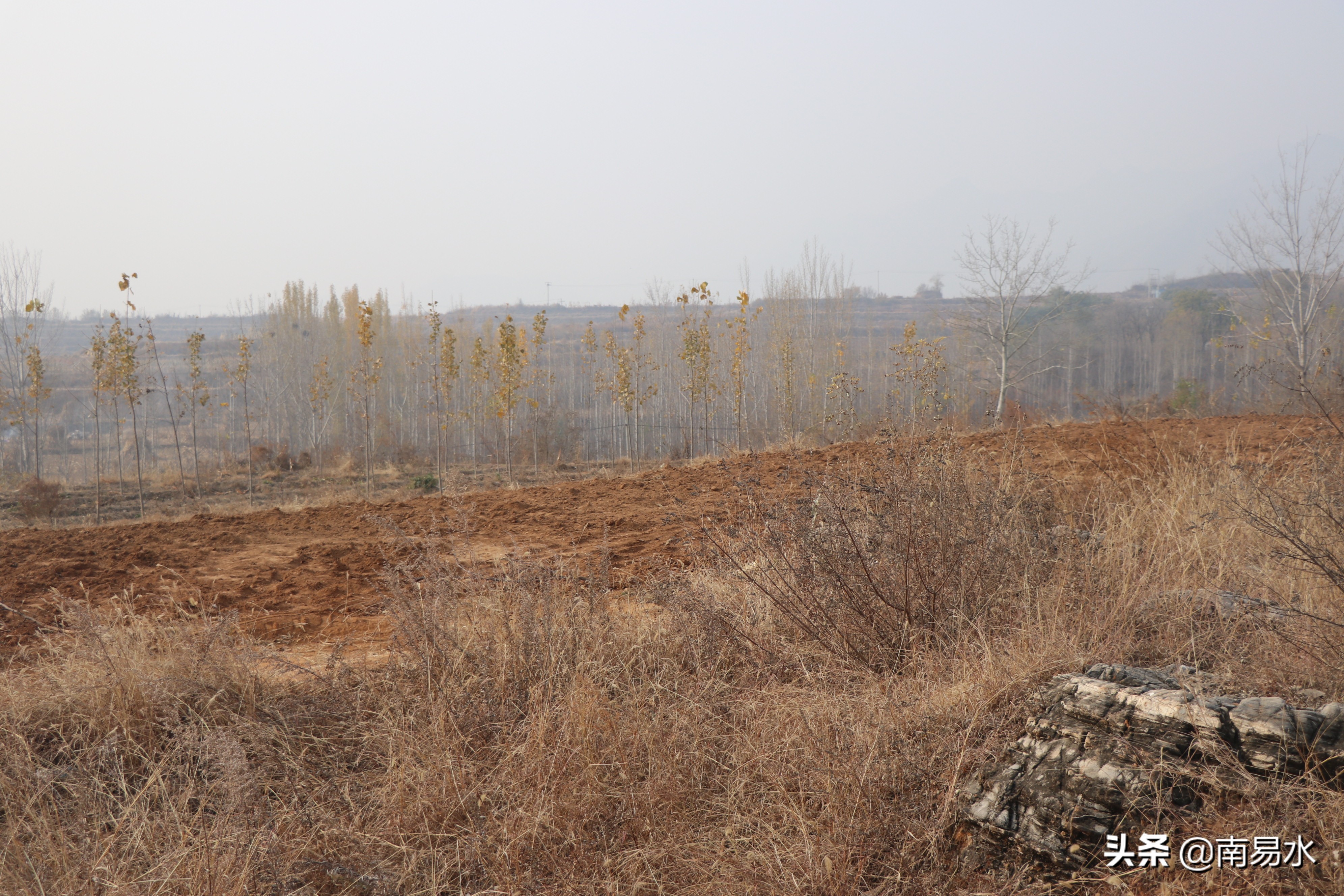 家乡风景带你一起感受自然的味道,令你难以忘怀的家乡的味道