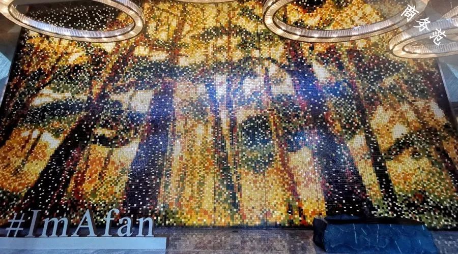 戴妃为什么喜欢老佛爷,为什么戴妃这么美