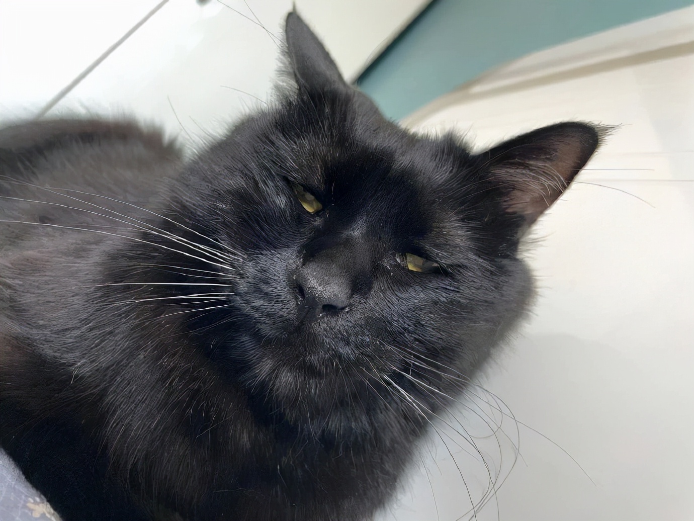 有趣的airpods耳机名称,airpods少一个耳机叫什么名字