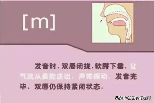 基础英语48个国际音标详解，赶紧来学习！